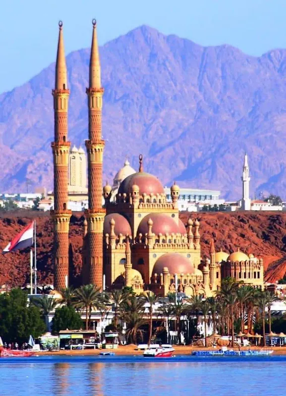 Sharm One Line Tours