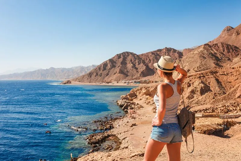 Wolf Safari Dahab Tours