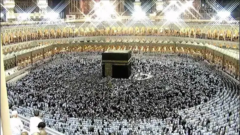 Al Hilal Hajj and Umrah
