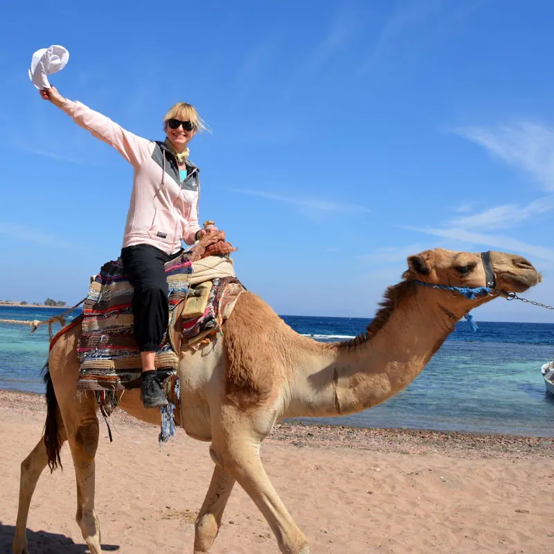 Stella sharm tours