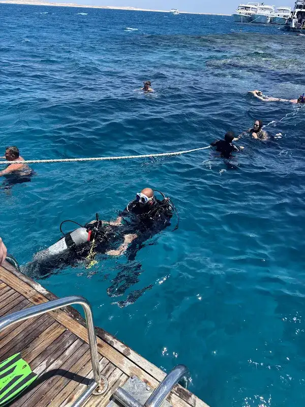 Cleopatra Travel