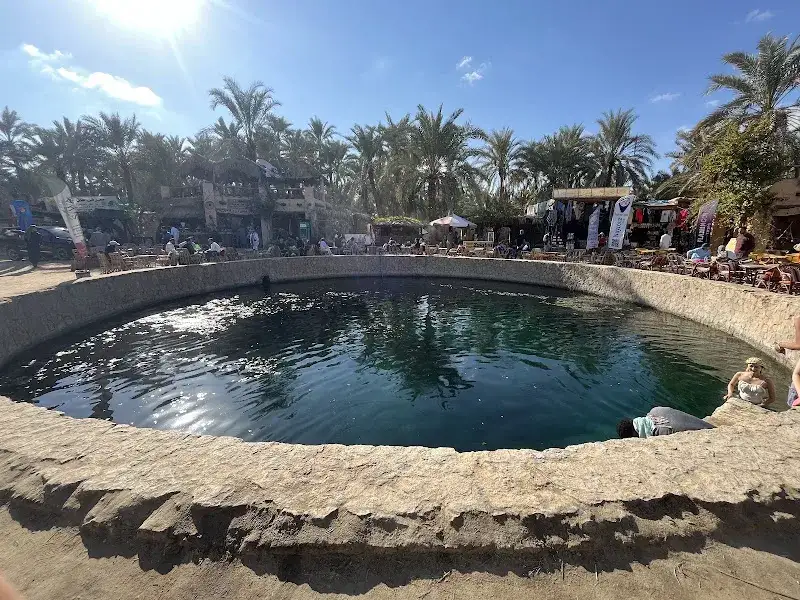 Black Horse siwa Tours