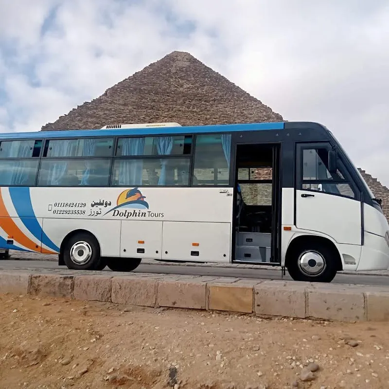 دولفين تورز