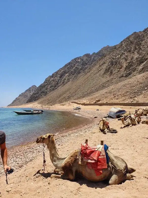 Sharm El Sheikh Tours