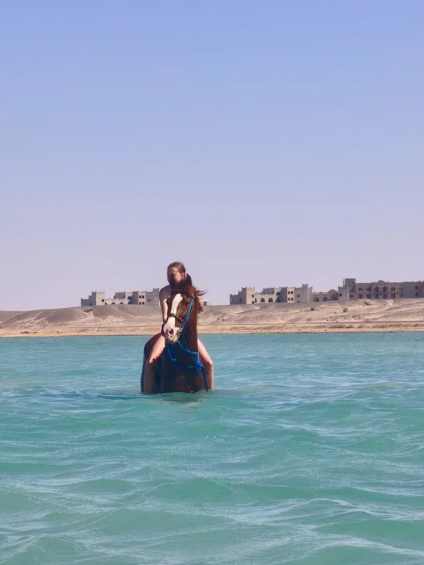 Manolo tours Egypt, Private Luxor, Cairo, Speedboat, Boat &amp; quad bike, Trip with group, hurghada tours, marsa alam tours