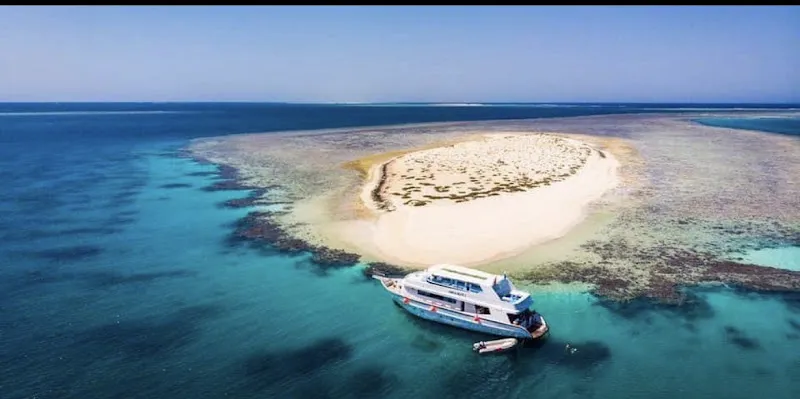 Damar Tours