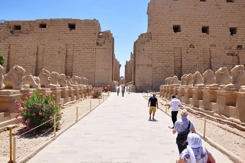 Egyptology Travel For Nile Cruises &amp; Egypt Tours