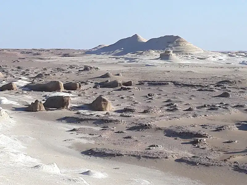 فوزي الطيار